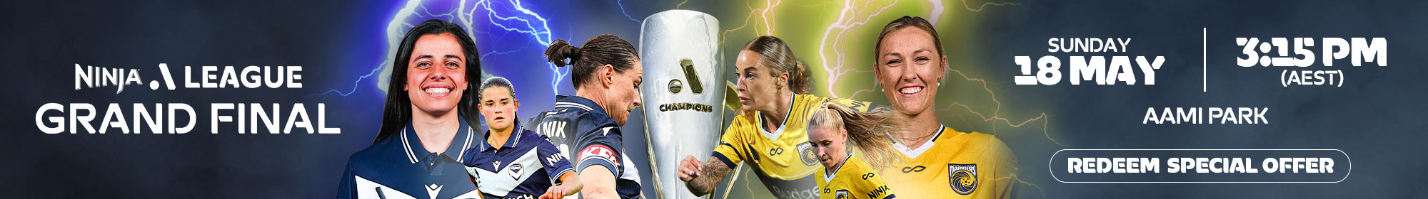 ALW Final Thin banner